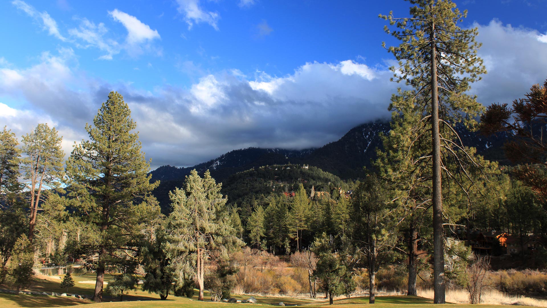 Forest and mountain views near Pine Mountain Club and Mt. Pinos