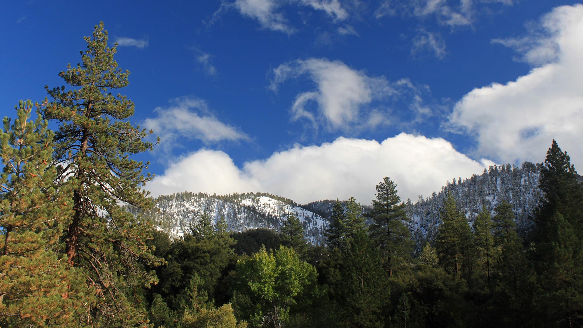 Winter mountain scenery near Pine Mountain Club homes and forest properties