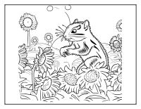 Chipmunk sitting among daisies and garden flowers coloring page