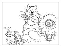Chipmunk sitting beside sunflowers and leafy plants coloring page