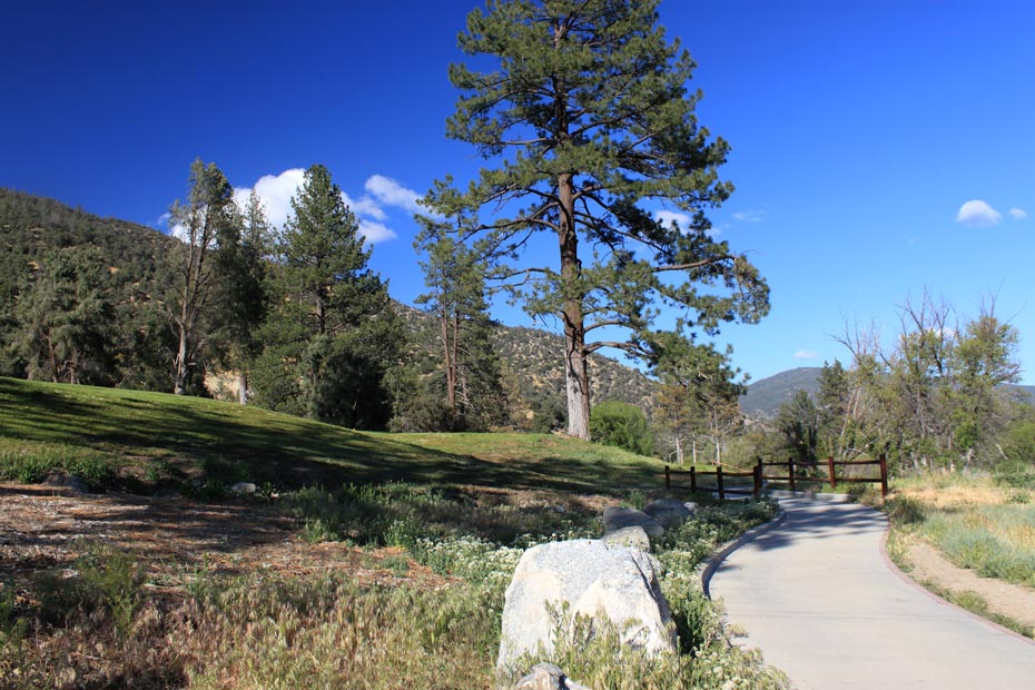Cart path along hillside at Pine Mountain Club golf course