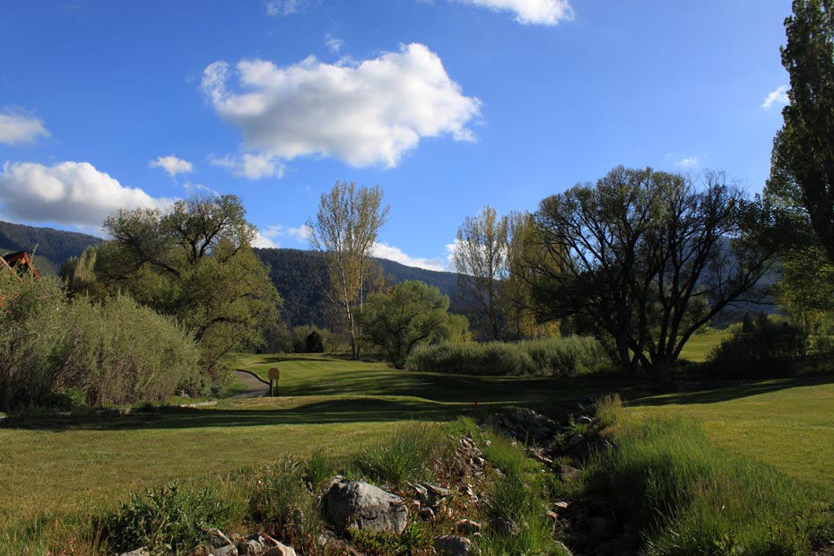 Creekside rough area at Pine Mountain Club golf course
