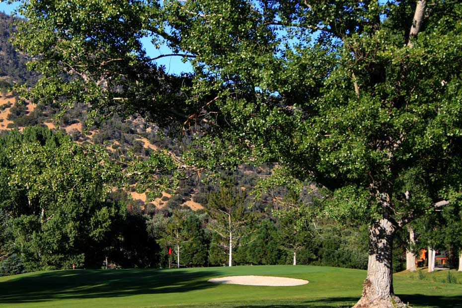 Landscaped green at Pine Mountain Club golf course