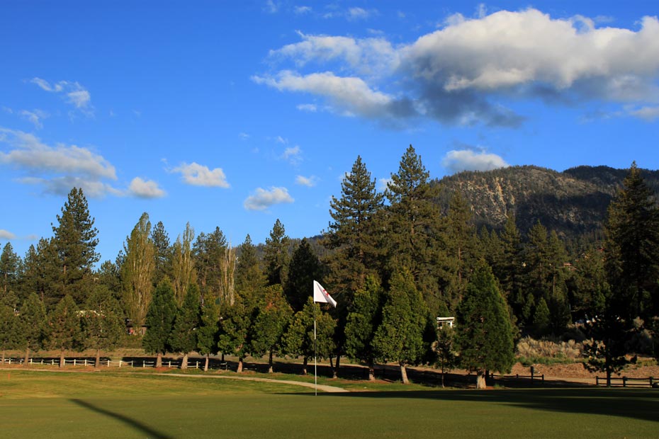 Green with evergreen trees at Pine Mountain Club golf course