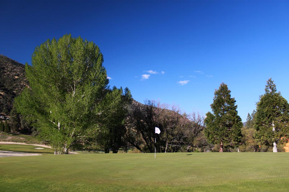 Putting green with lone tree at Pine Mountain Club golf course