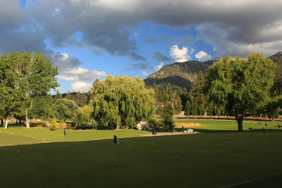 Putting green surrounded by trees at Pine Mountain Club golf course