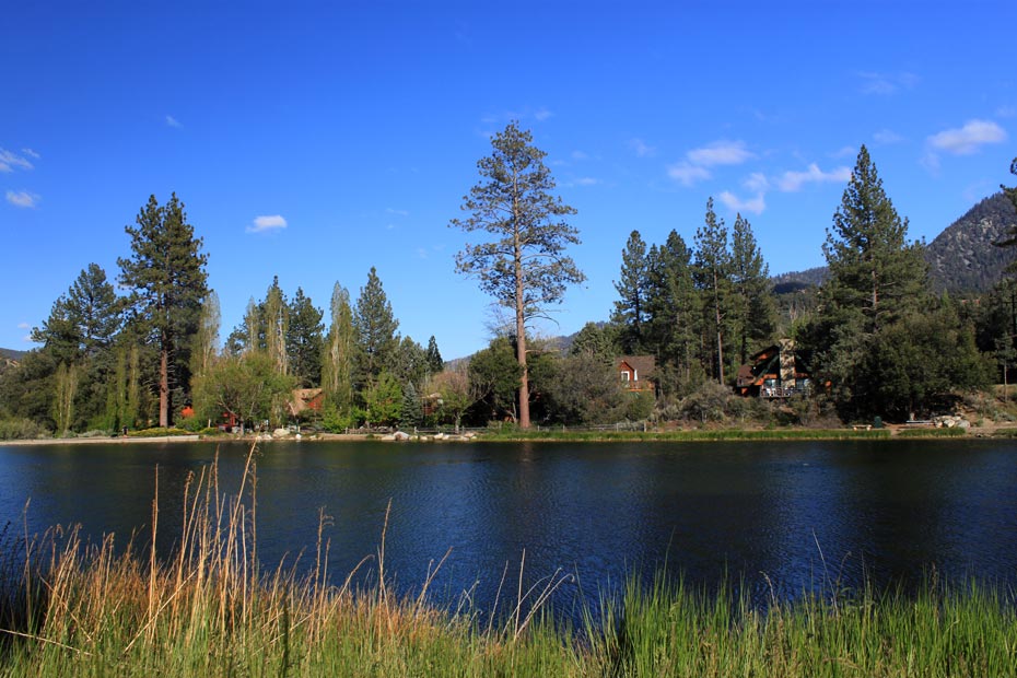 Lake with reeds at Pine Mountain Club golf course