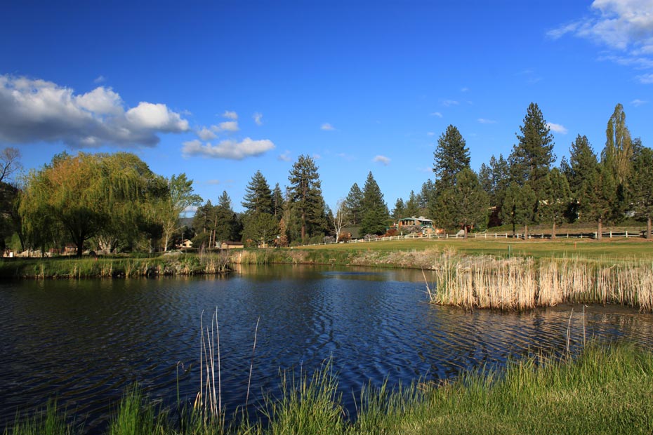 Lake reflection at Pine Mountain Club golf course