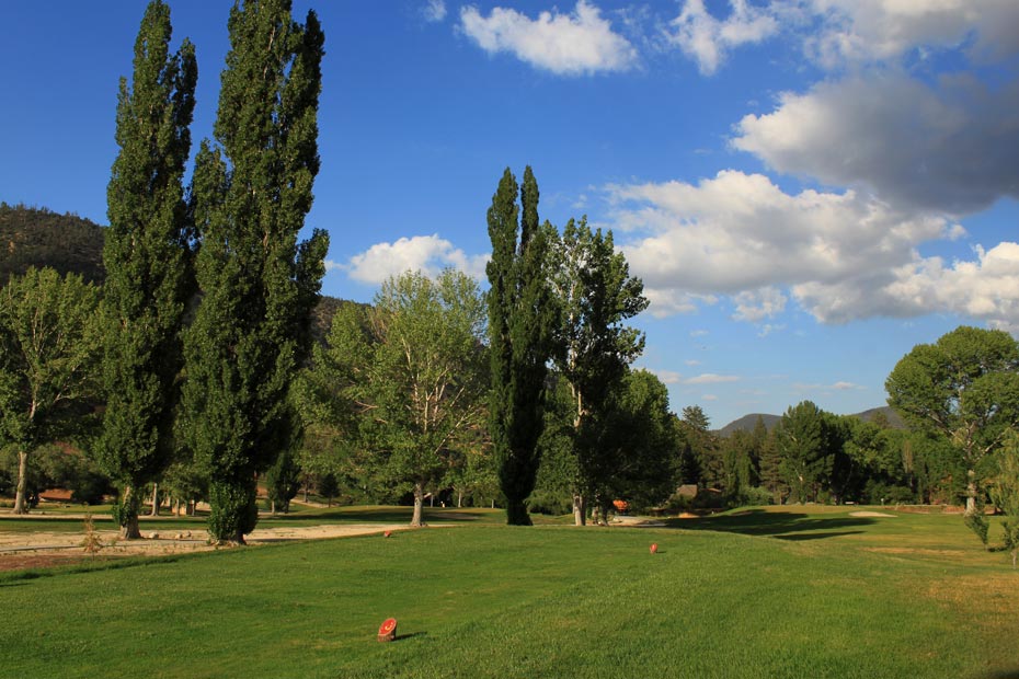 Tee box near poplar trees at Pine Mountain Club golf course