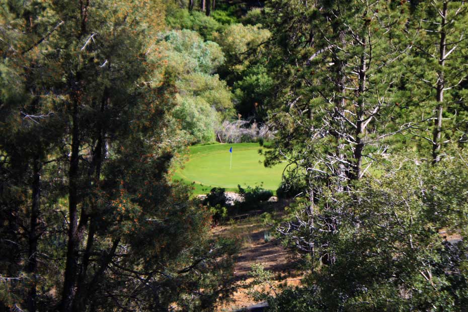 Wooded overlook at Pine Mountain Club golf course
