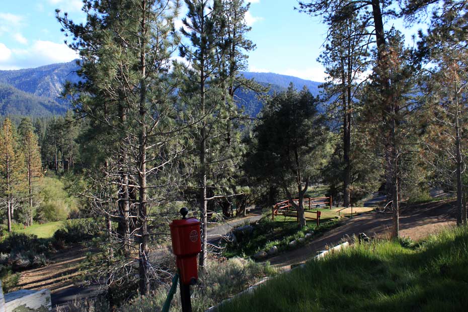 Wooded trail view at Pine Mountain Club golf course