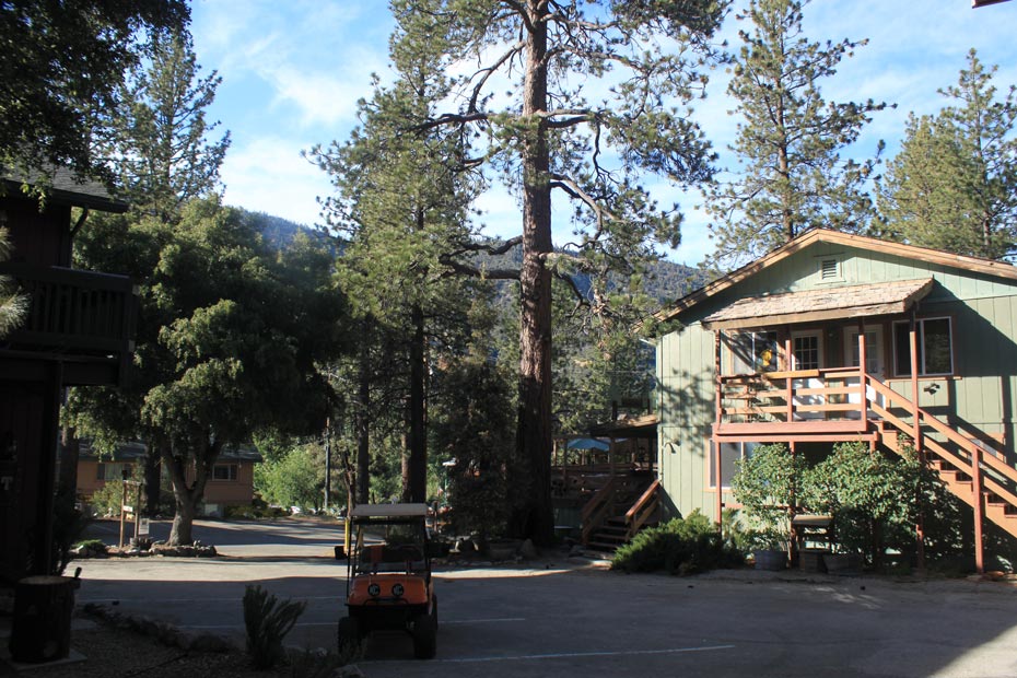 Green village building with stairs and deck in Pine Mountain Club