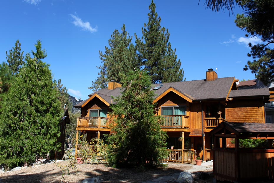 Chalet-style shops in Pine Mountain Club village surrounded by tall pine trees