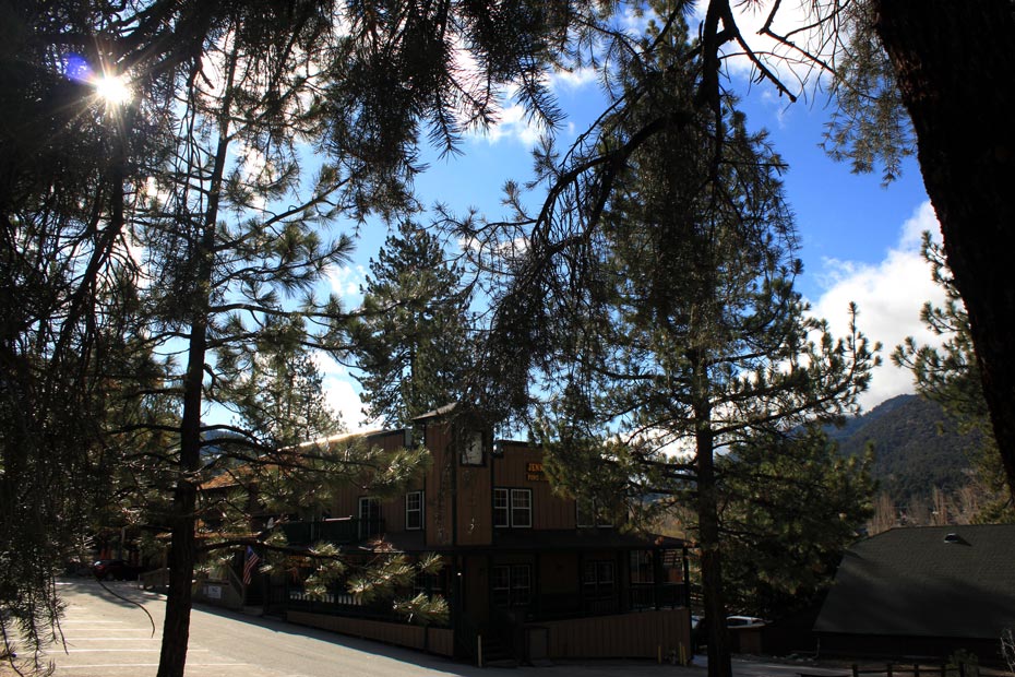Tree-lined road through Pine Mountain Club village
