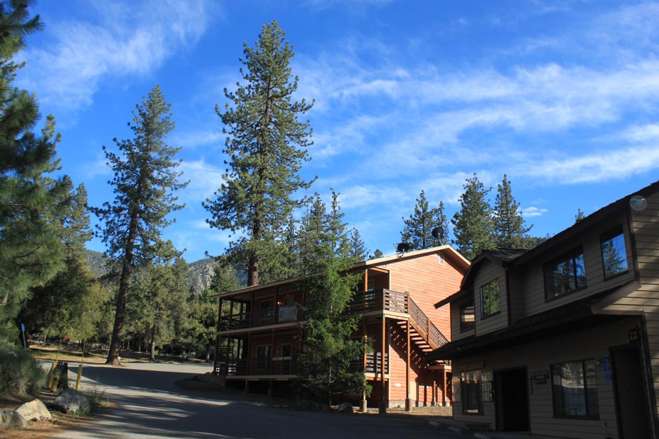 Pine Mountain Club village building on a hillside beneath tall trees