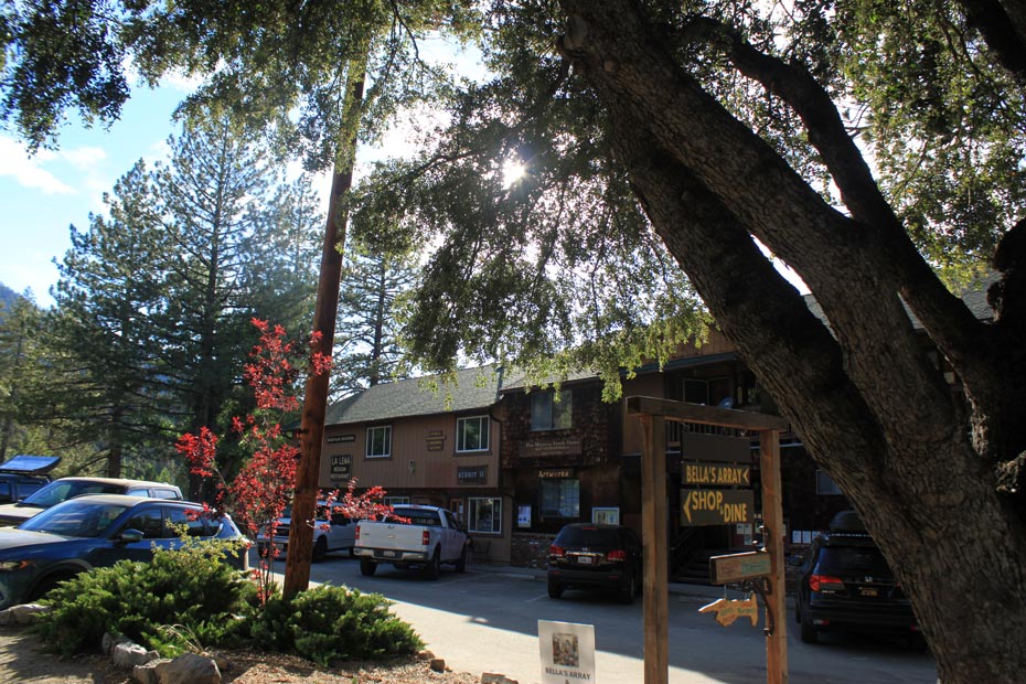 Pine Mountain Club village stores shaded by a large oak tree