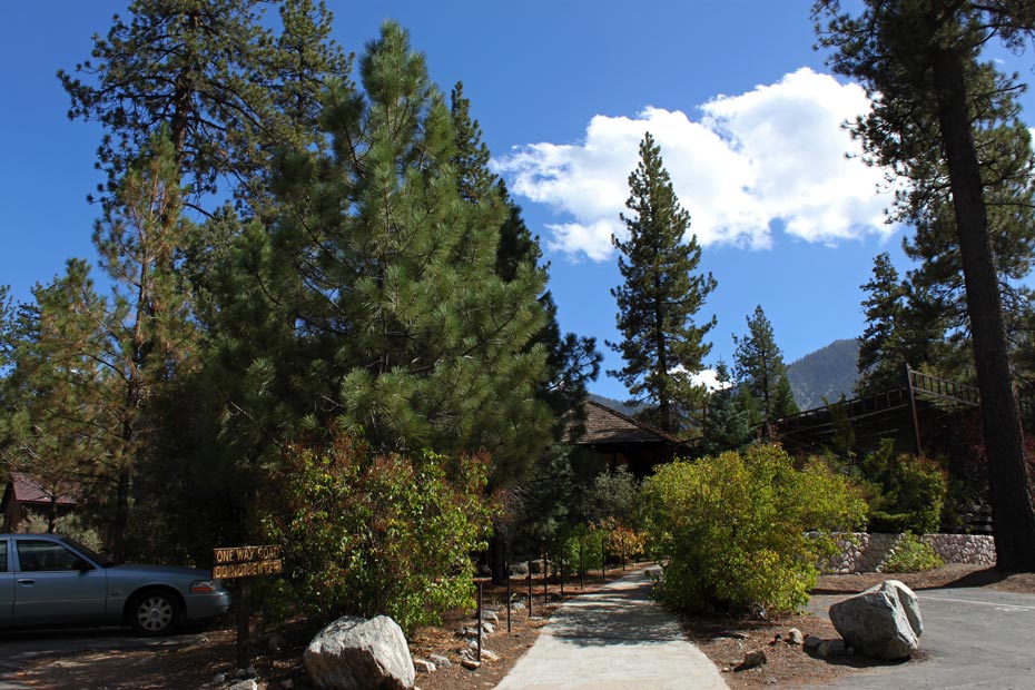 Pine Mountain Club village walkway with pine trees and mountain views