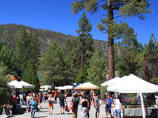 Outdoor wine tasting at Wine in the Pines Pine Mountain Club event with forest setting and mountain atmosphere